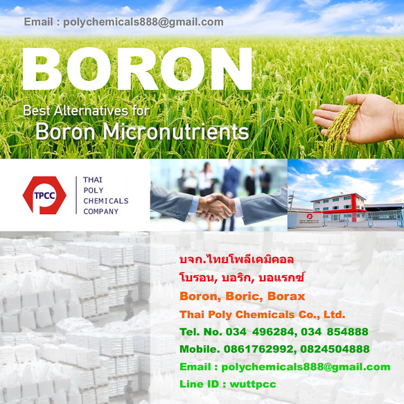 Boron, โบรอน, Boric acid, บอริกแอซิด, Borax pentahydrate, บอแรกซ์ 5น้ำ